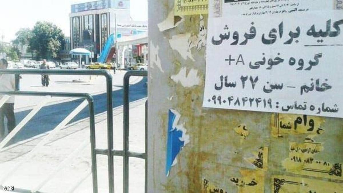 تحت وطأة الأزمة