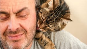 ما علاقة القطة بالاكتئاب