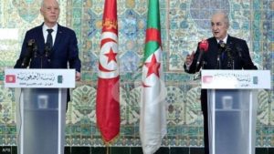 الرئيس الجزائري يدعو لإبعاد كافة المقاتلين الأجانب عن ليبيا