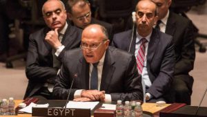الحل السياسي في ليبيا لن يتحقق دون وقف التدخلات