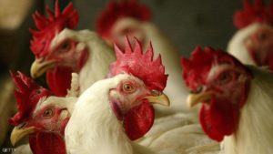 الصين تعلن قرارا تاريخيا بشأن