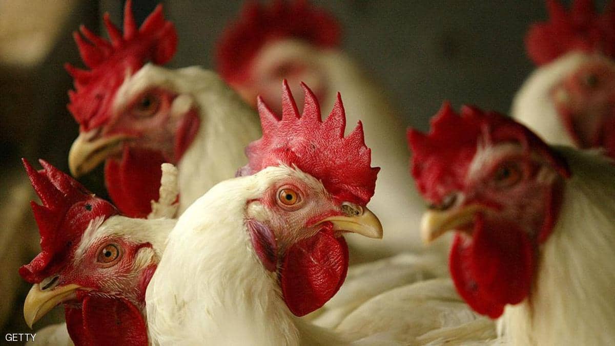الصين تعلن قرارا تاريخيا بشأن