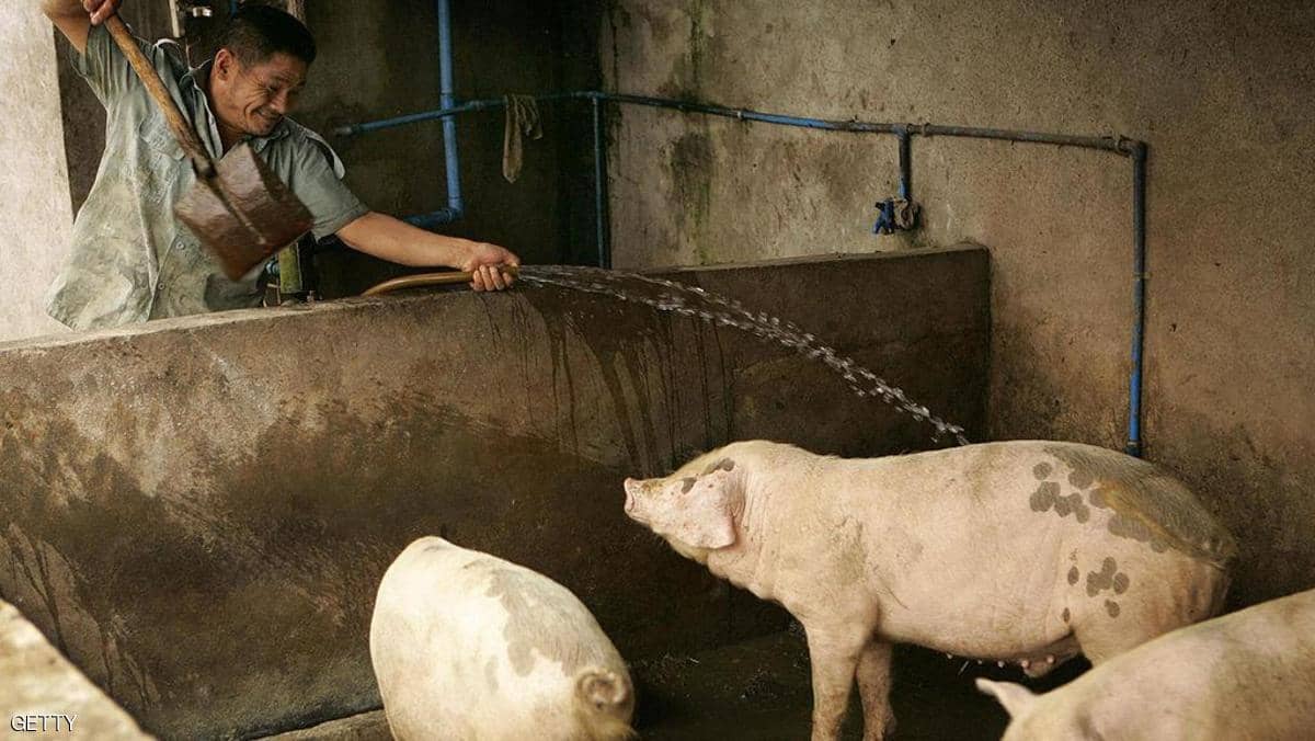 بعد رصده في الصين.. كل ما تريد معرفته عن فيروس