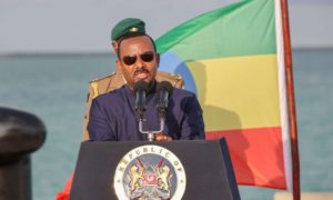 الصليب الأحمر ارتفاع عدد قتلى هجوم غرب إثيوبيا إلى 222
