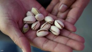 لكبد لا يمرض.. 7 أطعمة احرص على تناولها
