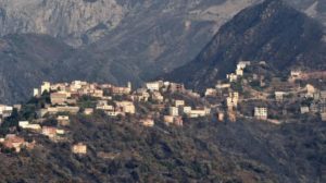 19 حريقاً ما زال مشتعلاً في غابات الجزائر