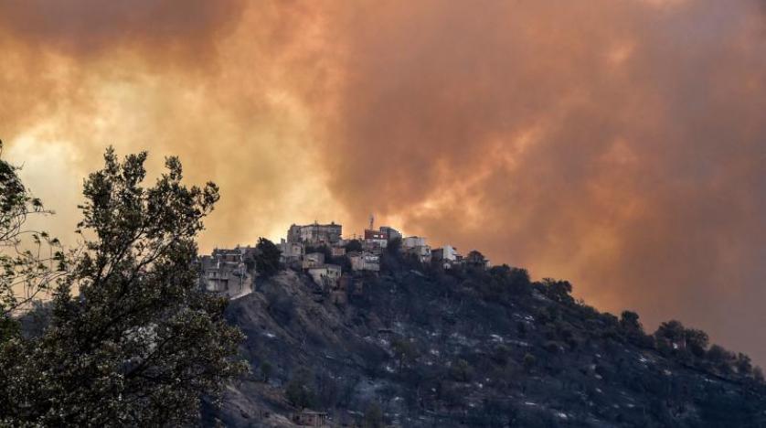 ارتفاع عدد حرائق الغابات في الجزائر إلى 99 عبر 16 ولاية