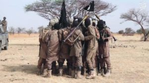 مقتل 17 شخصا في نيجيريا بهجمات لتنظيم «داعش - ولاية غرب إفريقيا»