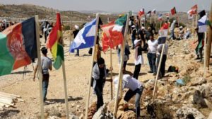 مستوطنة جديدة على أراضي سلفيت بعد تجميد مشروع بنائها 30 سنة