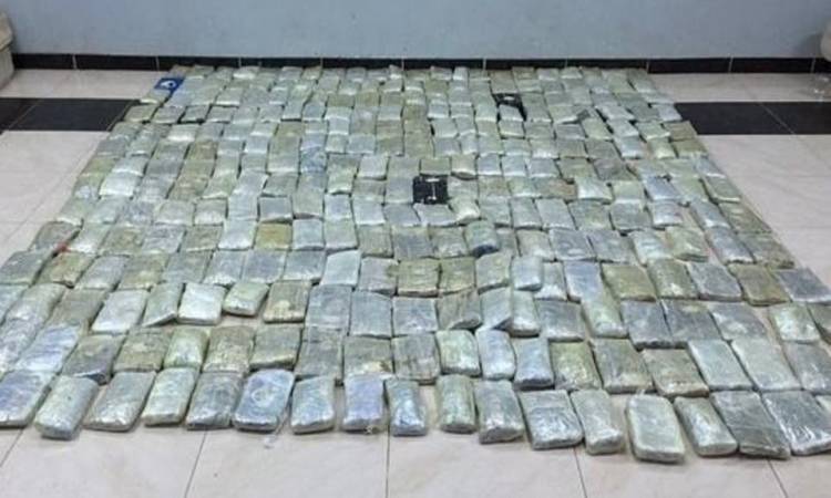 ليبيا تضبط 300 رزمة حشيشة عليها صورة بوتن