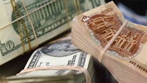 الجنيه المصري يواصل رحلة الهبوط أمام الدولار