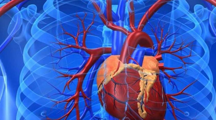 دراسة العديد من الأشخاص فوق الـ40 مصابون بمرض قلبي «مخفي»
