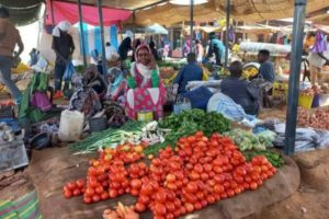 اشتباكات عنيفة في مناطق متفرقة بالسودان والفاو تحذر من انعدام الأمن الغذائي
