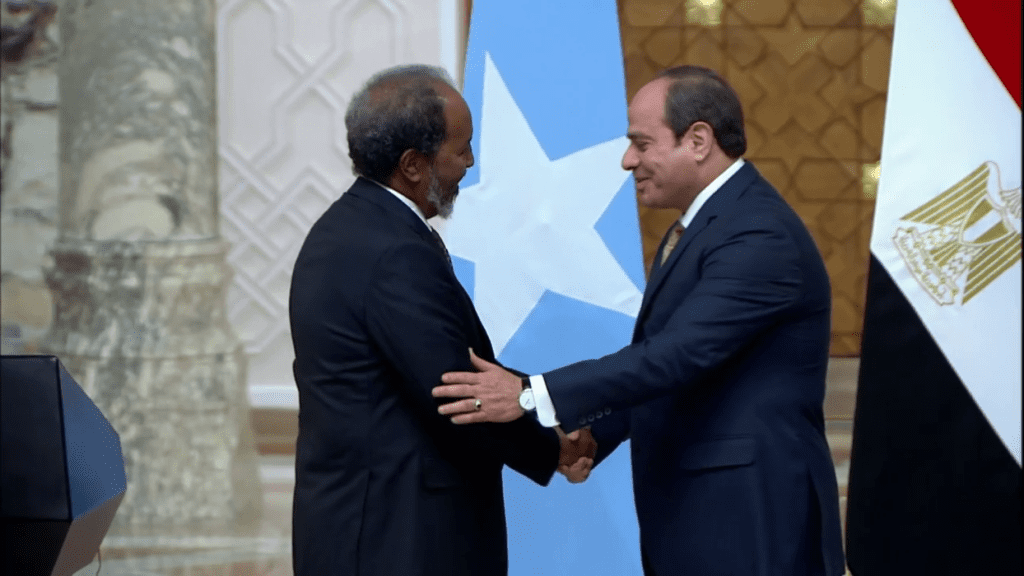 السيسي مصر لن تسمح بأي تهديد للصومال