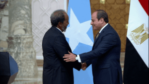 السيسي مصر لن تسمح بأي تهديد للصومال