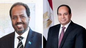 السيسي يحذر إثيوبيا من المساس بالصومالمحدش يجرب مصر