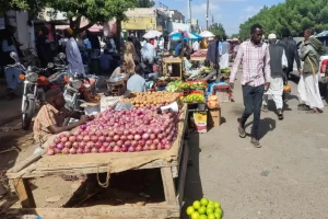 انقطاع الكهرباء في عدة مناطق سودانية بعد مهاجمة سد مروي