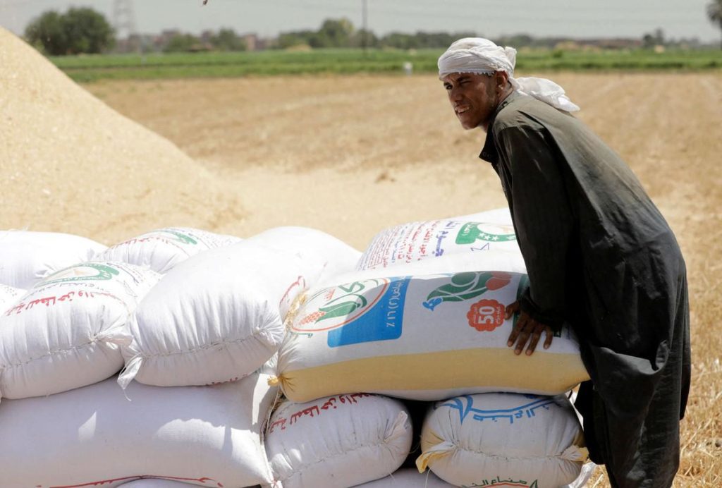 مصر تنشئ بورصة جديدة لاستيراد السلع الغذائية وتصديرها
