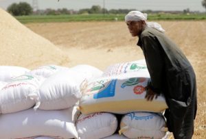 مصر تنشئ بورصة جديدة لاستيراد السلع الغذائية وتصديرها