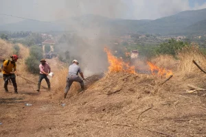 إجلاء المئات في شمال غربي تركيا مع استمرار جهود مكافحة حرائق الغابات