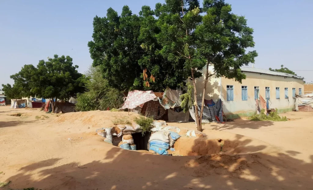 السودان: عشرات القتلى في مجزرة بمخيم للنازحين في الفاشر