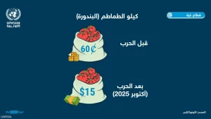 أونروا: الناس لا يستطيعون تحمل تكلفة الطعام الذي ظهر في غزة