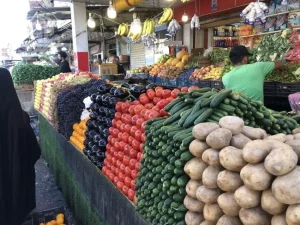 العراق: في خطوة أخرى ضمن خطة تحقيق الاكتفاء الذاتي... منع استيراد أكثر من 40 منتجاً زراعياً ووضعها تحت الحماية المحلية
