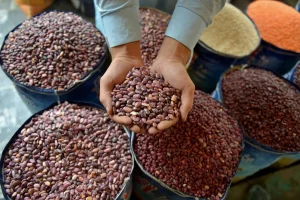 ما أبرز أنواع البقوليات الغنية بالمغنسيوم؟