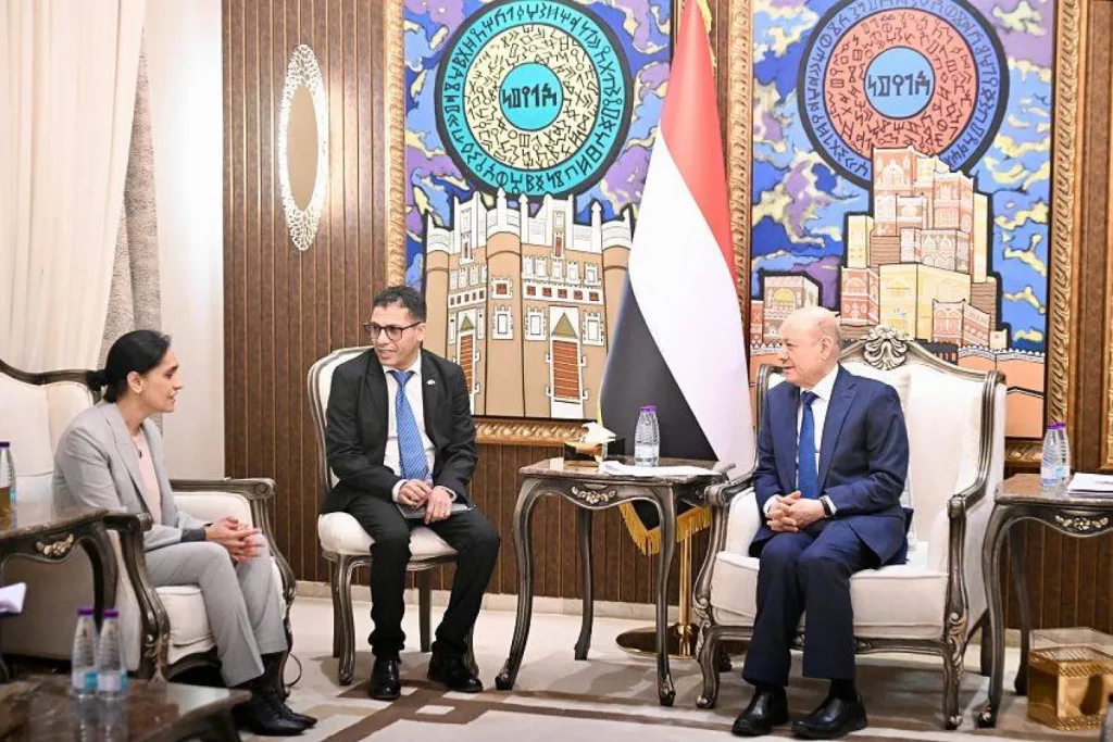 العليمي: حصر السلاح بيد الدولة للتركيز على مواجهة الحوثيين