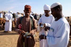 حلفاء "الدعم السريع" يسيطرون على مواقع الجيش في النيل الأزرق