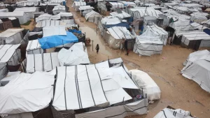 القوارض والحشرات تفاقم معاناة النازحين في غزة