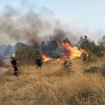 الجزائر تعلن عودة الكهرباء إلى 16 ولاية وتواصل مكافحة 19 حريقا