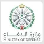 السعودية تعلن اعتراض مسيرات قادمة من العراق
