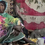 الدولية للهجرة: عدد السودانيين العائدين إلى مناطقهم بلغ 4.6 ملايين